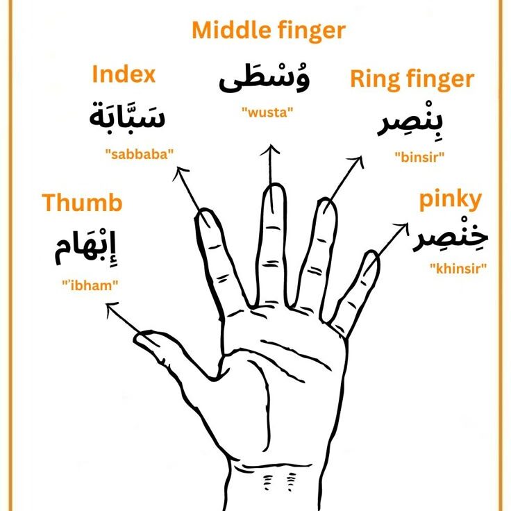نام‌گذاری انگشتان در سه‌تار