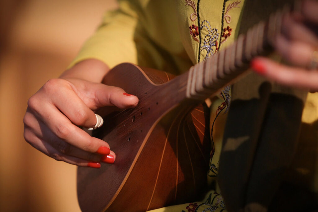 بانویی در حال نواختن سه‌تار